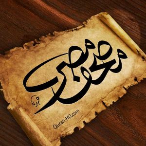شعار حرف ع س الخط السنبلي | Abdo Fonts